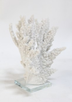 Science/Nature, Coral, SPIKY WHITE CORAL ON CLEAR SQUARE BASE, CORAL, WHITE