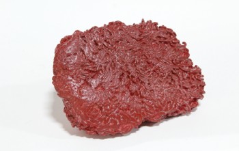 Food, Meat (Fake), REALISTIC, FAKE FOOD, GROUND BEEF, PLASTIC, RED