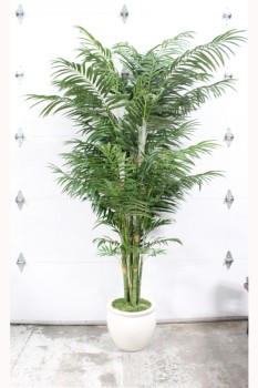 Plant, Fake, 9FT XL FAKE BUTTERFLY PALM, WHITE/IVORY PLANTER - *Must Be Returned With All Branches*, PLASTIC, GREEN