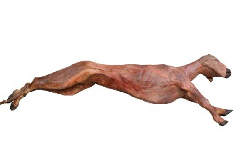 Meat, Animal (Fake), 4.5FT FAKE REALISTIC GOAT, SKINNED, LEGS TIED, ANIMAL CARCASS, RUBBER, RED