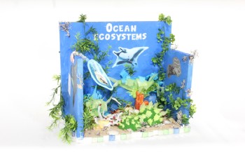Art, Miscellaneous, CLEARABLE, KIDS' SCHOOL PROJECT, SCIENCE FAIR, DIORAMA, "OCEAN ECOSYSTEMS" W/FAKE PLANTS, SHELLS, PICTURES OF SEA CREATURES, WOOD FRAME, WOOD, MULTI-COLORED