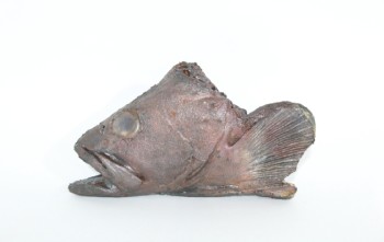 Meat, Fish (Fake), REALISTIC PROP FISH HEAD, SEVERED LOOK, RUBBER, GREY