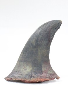 Meat, Fish (Fake), REALISTIC PROP SHARK FIN, SEVERED/BLOODY LOOK, FOAM, GREY