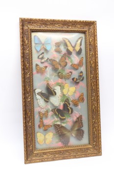 Science/Nature, Insect, BUTTERFLIES OF VARIOUS SHAPES COLOURS & SIZES, PINK WHITE & GREEN TREE BACKGROUND, CONCAVE, CARVED GILT FRAME, VINTAGE, VERTICAL , MULTI-COLORED