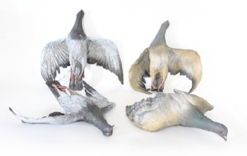 Meat, Animal (Fake), SINGLE FAKE REALISTIC BIRD, DEAD PIGEON, ANIMAL CARCASS, WINGS OUT (ALL 13-15