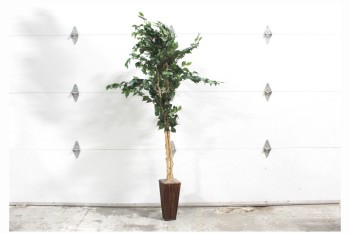Plant, Fake, FAKE FICUS TREE,APPROX 6',BAMBOO PLANTER, PLASTIC, GREEN