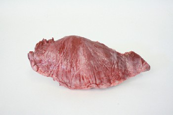 Food, Meat (Fake), REALISTIC,FAKE FOOD,BEEF HEART, RUBBER/SILICONE, RUBBER, RED