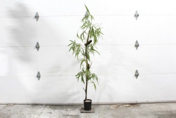 Plant, Fake, FAKE MARIJUANA W/BUDS,APPROX 6', PLASTIC, GREEN