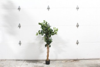 Plant, Fake, FAKE FICUS,APPROX 4', PLASTIC, GREEN