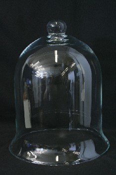 Decorative, Cloche, PLANT,TAXIDERMY ETC. DOME/DISPLAY COVER,BELL-SHAPED, ROUND KNOB, GLASS, CLEAR