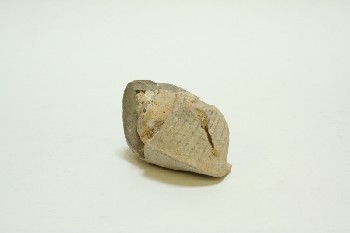 Science/Nature, Fossil, WHOLE SHELL W/CRACK, ROCK, TAN