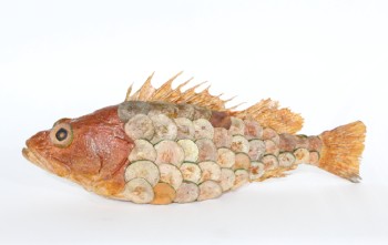 Food, Fish (Fake), CENTREPIECE, FAKE REALISTIC WHOLE FISH PREPARED FOR DINNER TABLE, LOOKS COOKED W/CUCUMBER SCALES & OLIVE EYES, RUBBER, MULTI-COLORED