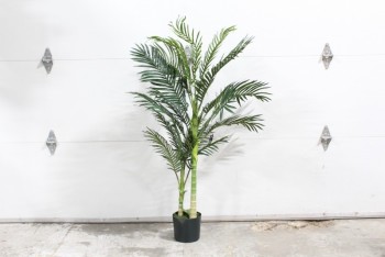 Plant, Fake, FAKE GOLDEN CANE PALM,APPROX 5', PLASTIC, GREEN