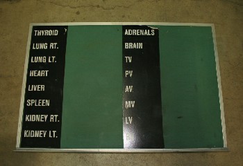 Board, Chalkboard, AUTOPSY/MORGUE,NAMES OF BODY PARTS, METAL, GREEN
