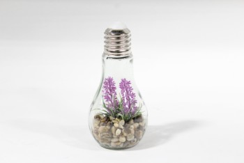 Decorative, Plant, LIGHT BULB TERRARIUM W/ROCKS & PLANT, GLASS, CLEAR