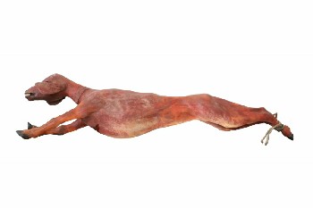 Meat, Animal (Fake), NEARLY 5FT FAKE REALISTIC GOAT, SKINNED, LEGS TIED, ANIMAL CARCASS, RUBBER, RED