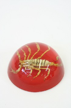Science/Nature, Insect, SCORPION PAPERWEIGHT, LUCITE SPECIMEN, PLEXIGLASS, RED