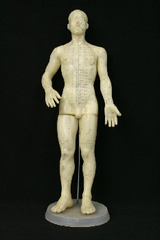 Medical, Model, ACUPUNCTURE MODEL,MAN,ON PLASTIC BASE, RUBBER, OFFWHITE