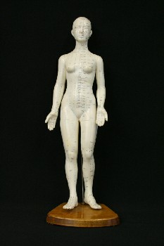 Medical, Model, ACUPUNCTURE MODEL,WOMAN,ON WOOD BASE, RUBBER, OFFWHITE