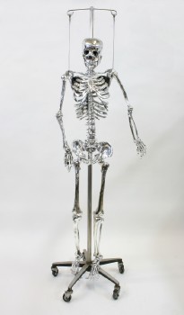 Bone, Skeleton, PROP SKELETON PAINTED SILVER (*Shown On Hanging Stand For Photo Only - Stand Rents Separately*) , PLASTIC, SILVER