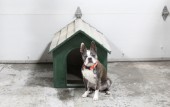 Pets, Miscellaneous, DOG HOUSE, GREEN SIDES, GREY WOOF, AGED - See Photos For Scale, METAL, GREEN