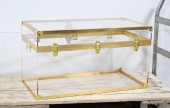 Trunk, Chest, TRANSPARENT W/GOLD COLOURED HARDWARE, CLEAR / SEE THROUGH, STORAGE, FOOT LOCKER, ACRYLIC, CLEAR